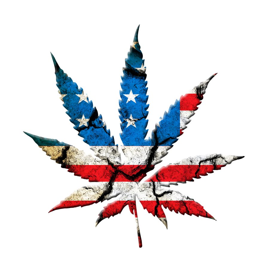 4O20 leaf logo